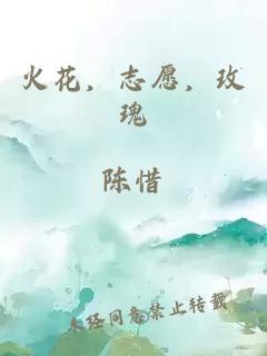 火花，志愿，玫瑰