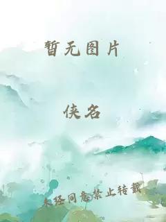 字字珠玑TXL金银花露