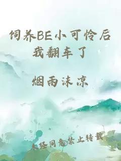 饲养BE小可怜后我翻车了