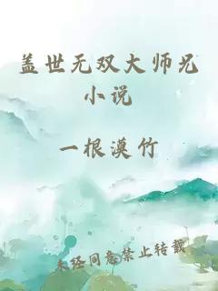 盖世无双大师兄小说