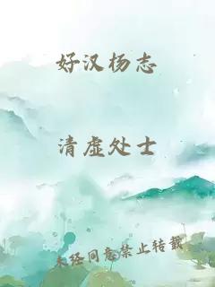 好汉杨志