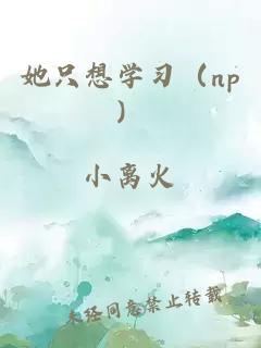 她只想学习（np）