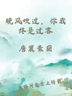 晚风吹过，你我终是过客