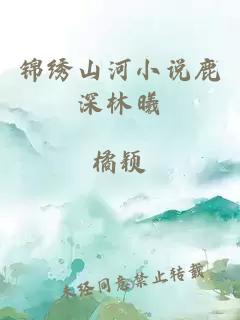 锦绣山河小说鹿深林曦