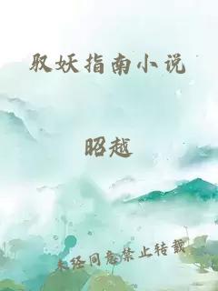 驭妖指南小说