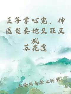 王爷掌心宠，神医贵妾她又狂又飒