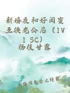 新婚夜和好闺蜜互换老公后（1V1 SC）