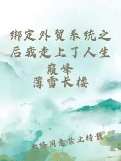 绑定外贸系统之后我走上了人生巅峰